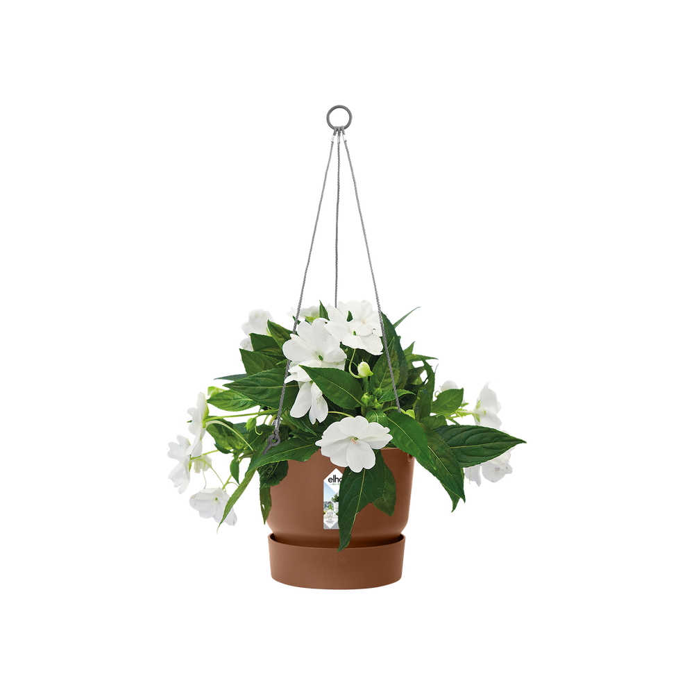Greenville Hanging Basket 24