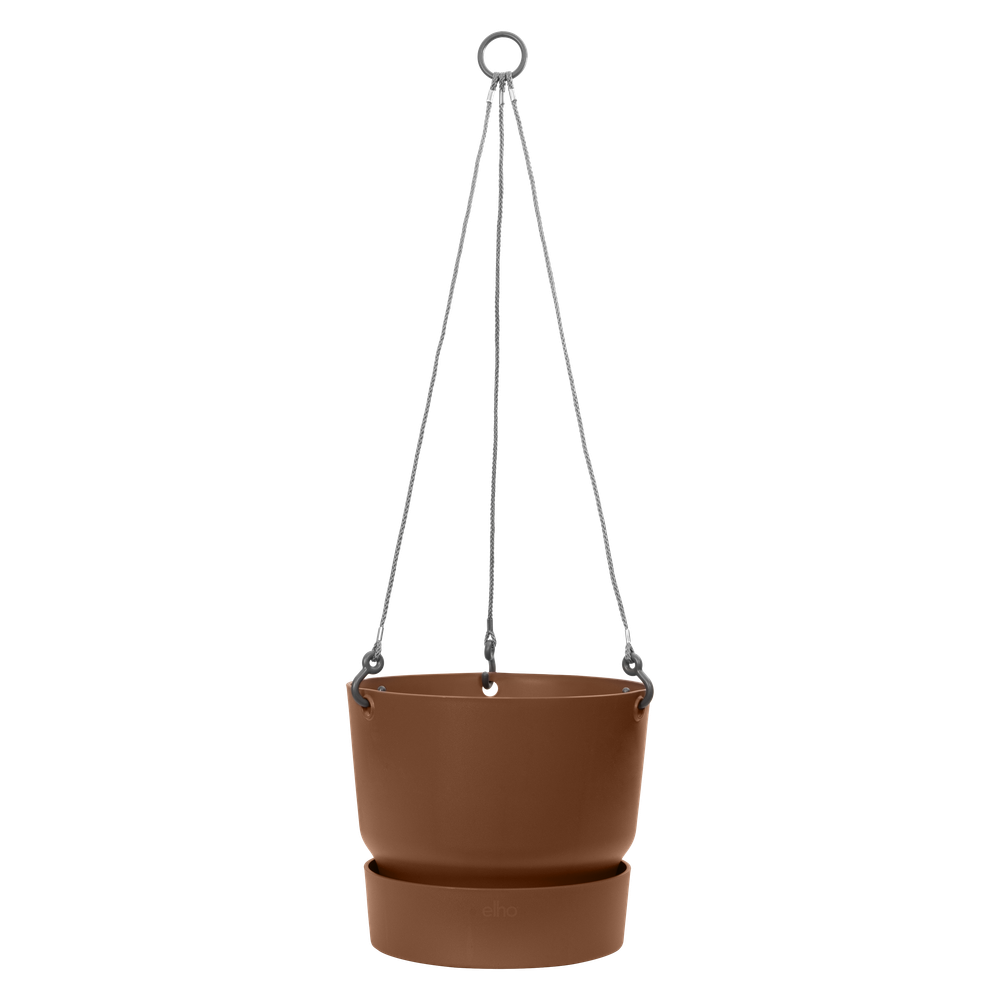 Greenville Hanging Basket 24