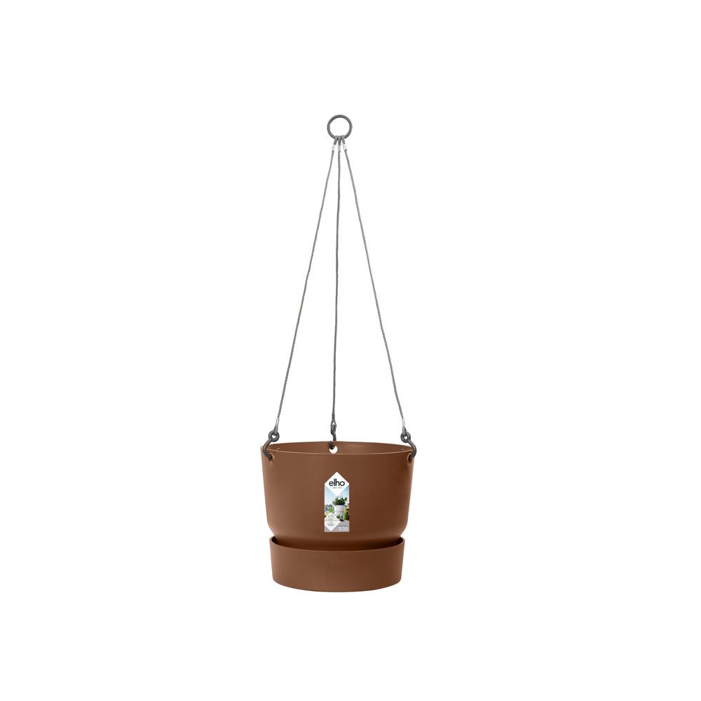 Greenville Hanging Basket 24