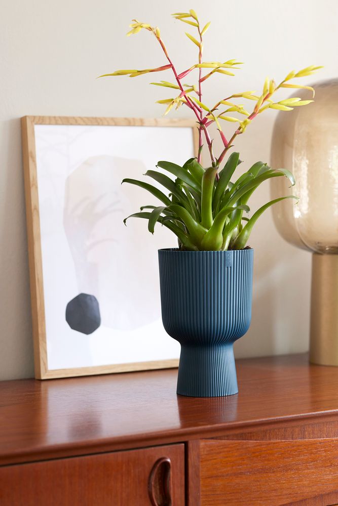 Vibes Fold Coupe 14