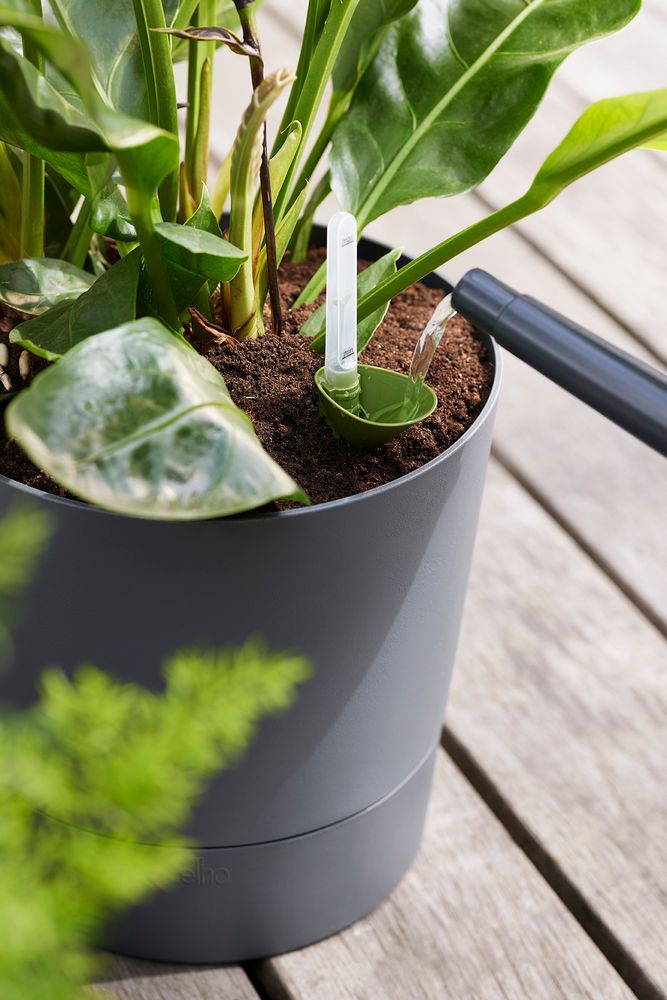 Greensense Aqua Care Round 35