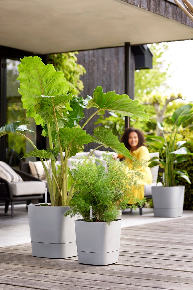 Greensense Aqua Care Square 38