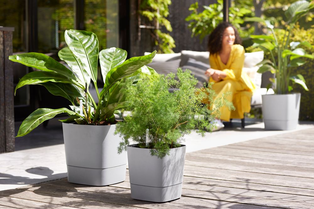 Greensense Aqua Care Square 38