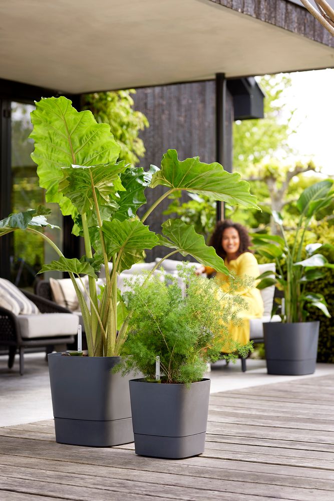 Greensense Aqua Care Square 38