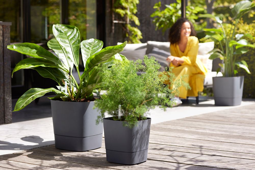 Greensense Aqua Care Square 38