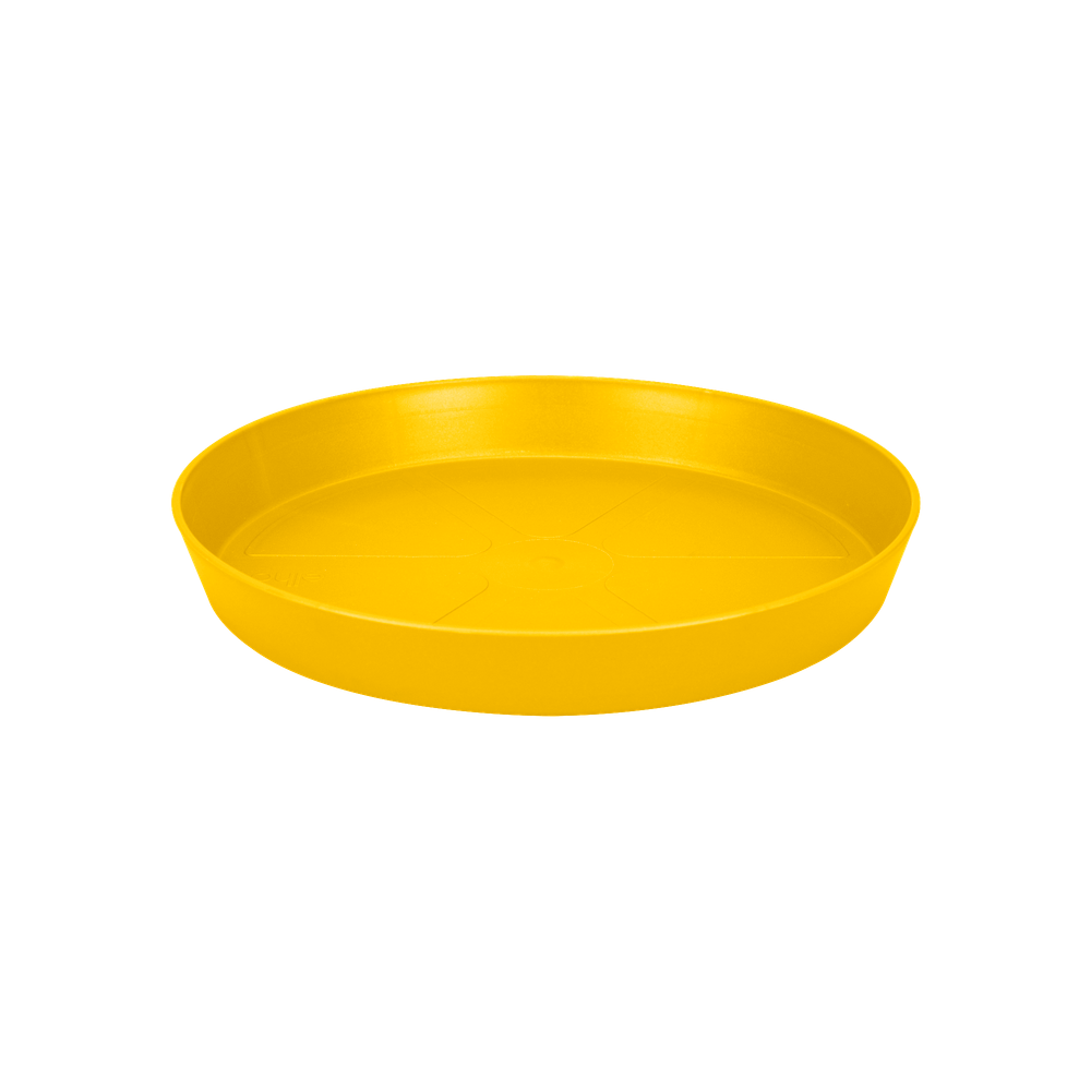 Loft Urban Saucer Round 34