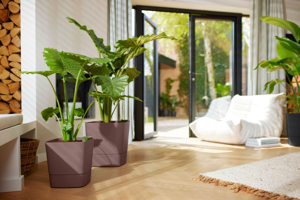 Greensense Aqua Care Square 38