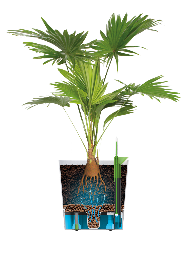 Greensense Aqua Care Square 38