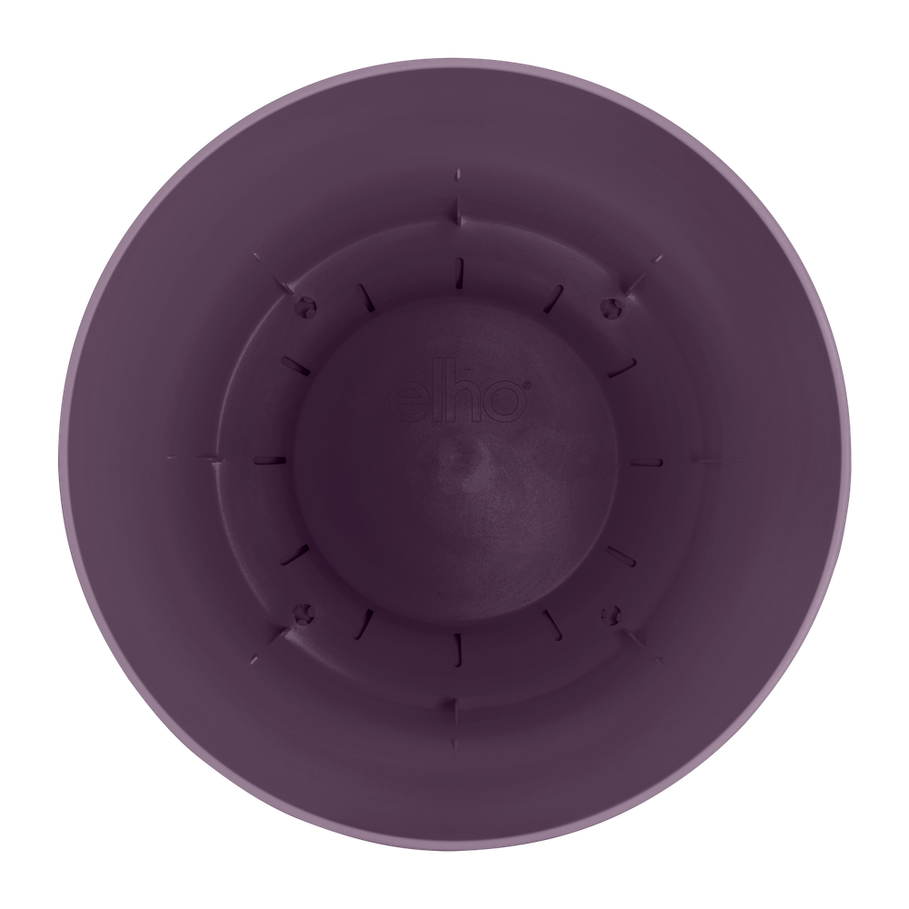 Greenville Bowl 33