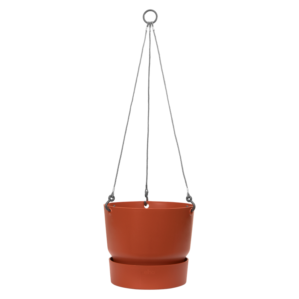 Greenville Hanging Basket 24