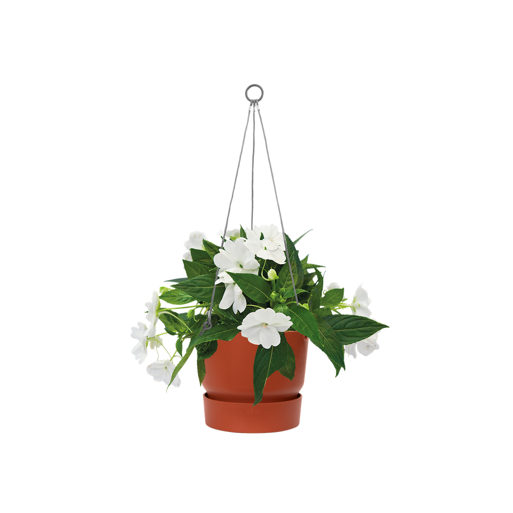Greenville Hanging Basket 24