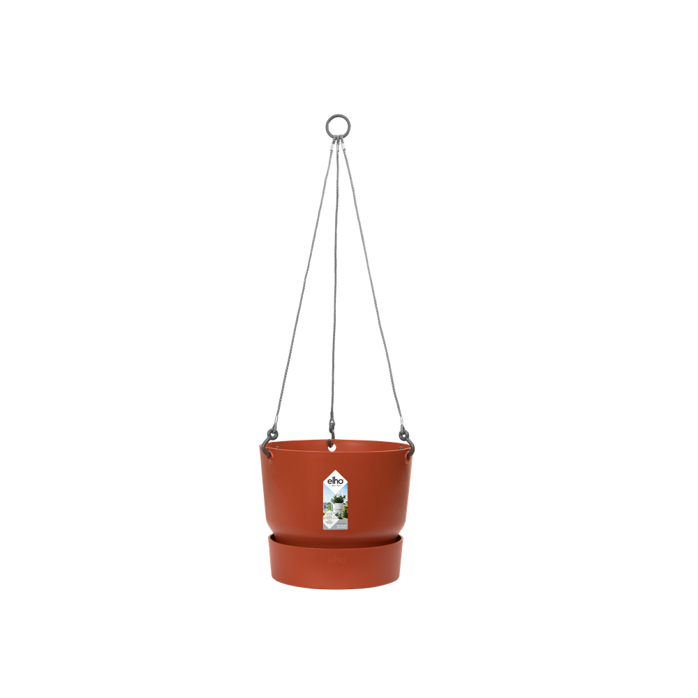 Greenville Hanging Basket 24