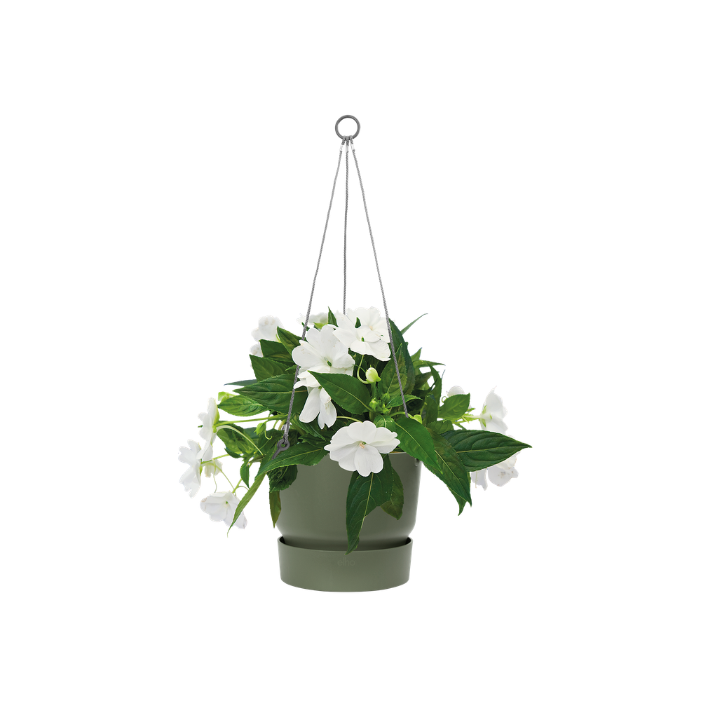 Greenville Hanging Basket 24