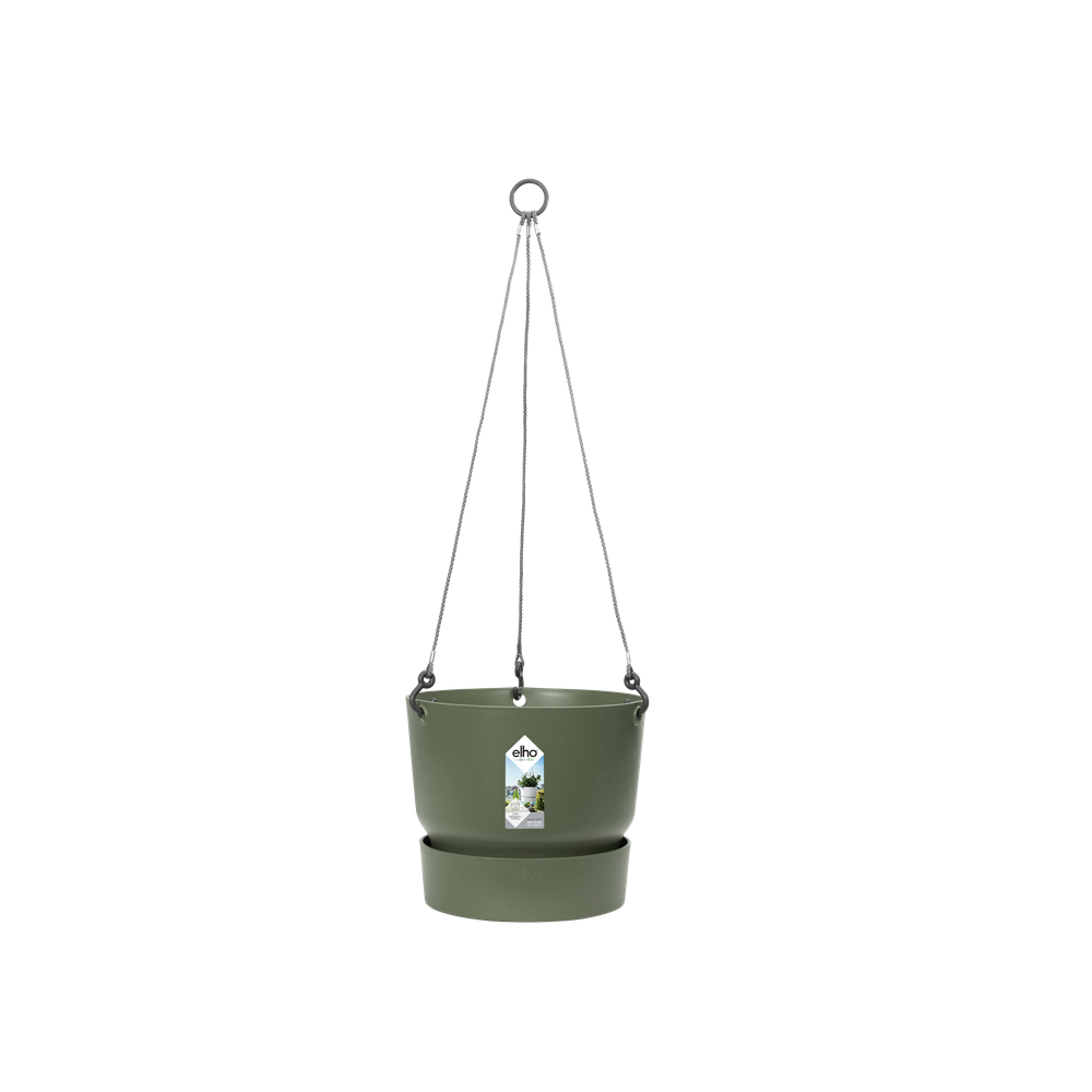 Greenville Hanging Basket 24