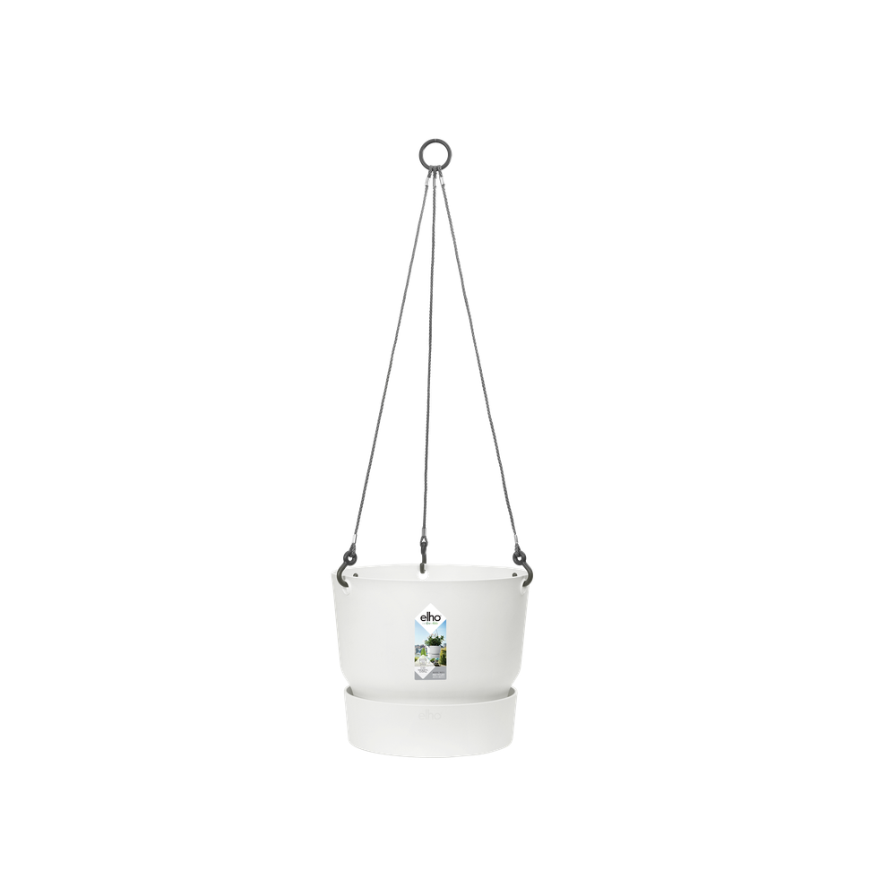 Greenville Hanging Basket 24