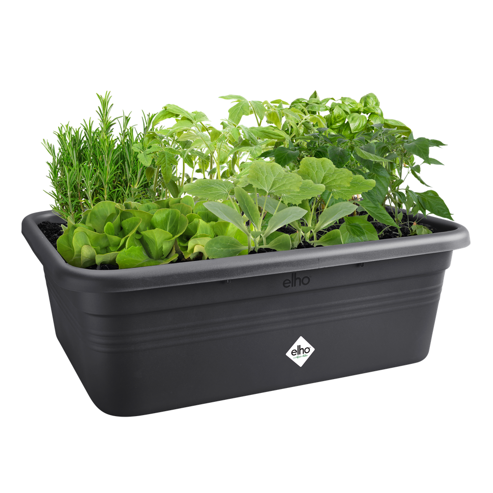 Green Basics Grow Garden L