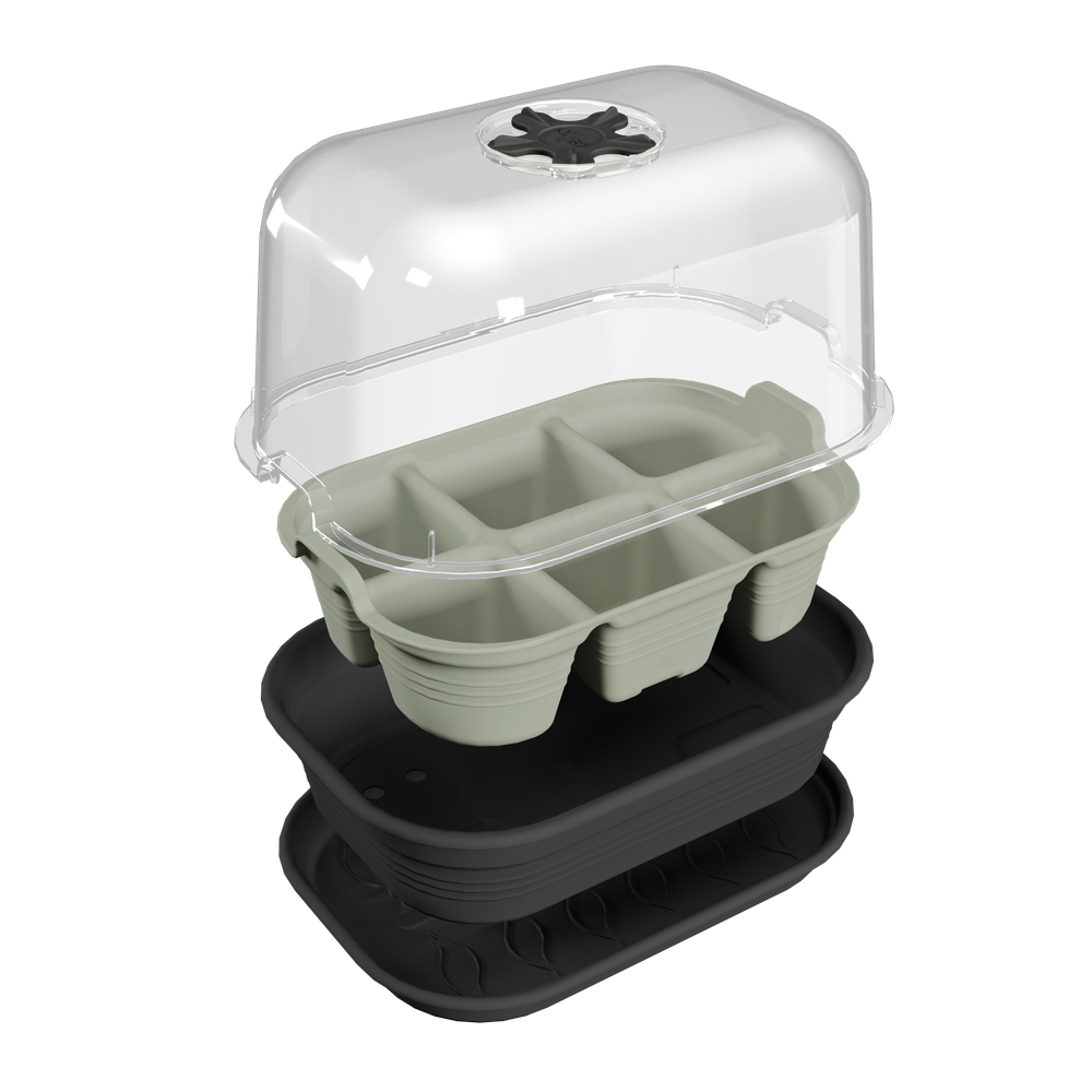 Green Basics Seed Tray 22