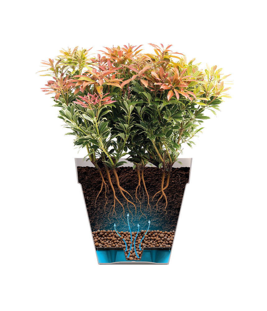 Loft Urban Square High 30