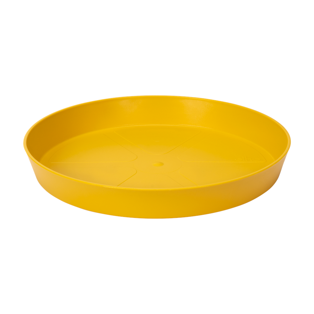 Loft Urban Saucer Round 14