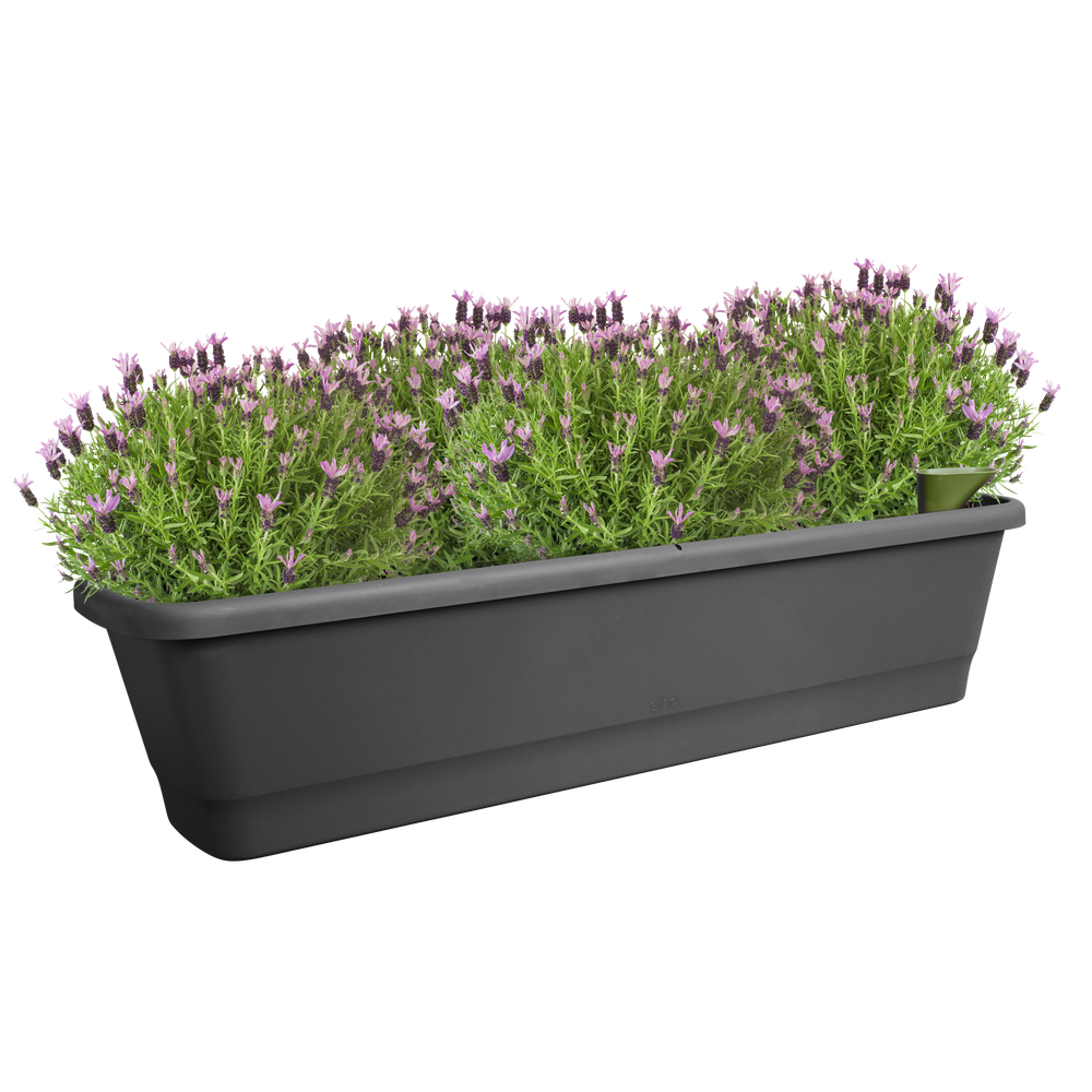 Noa Balcony Trough Xl