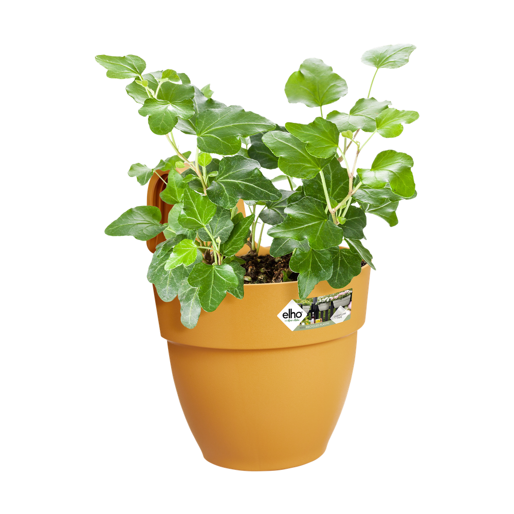 Vibia Campana Easy Hanger Small