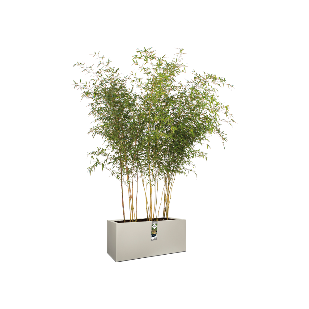 Vivo Matt Finish Long Wheels 90