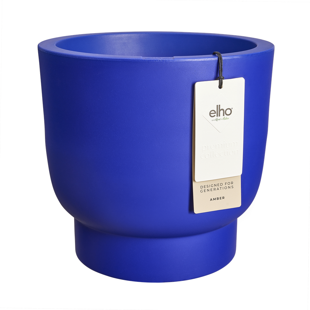 Amber Grail 30