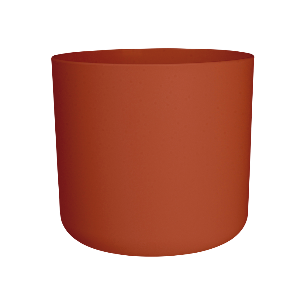 B.for Soft Round 16
