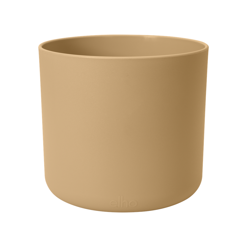 B.for Soft Round 16