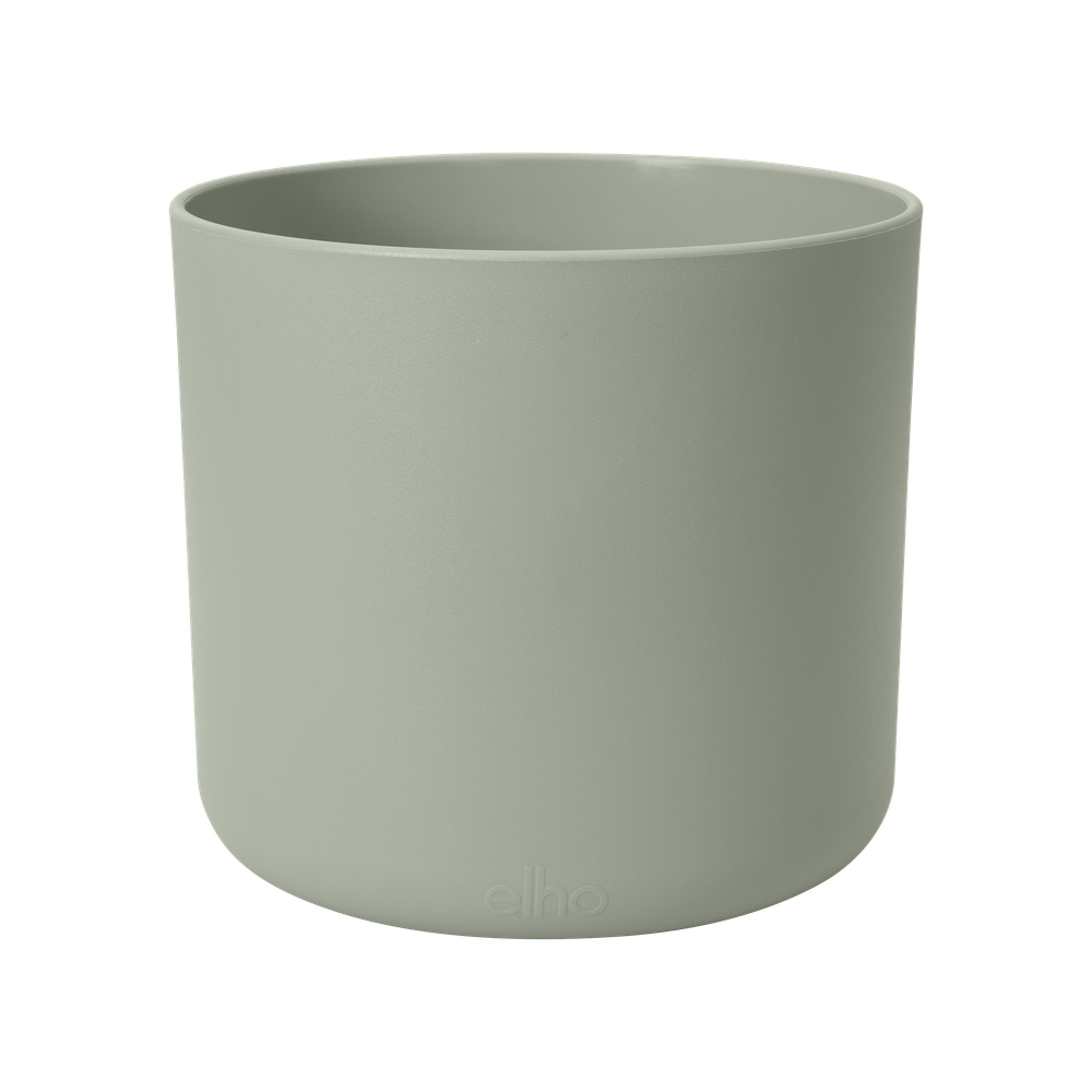 B.for Soft Round 16