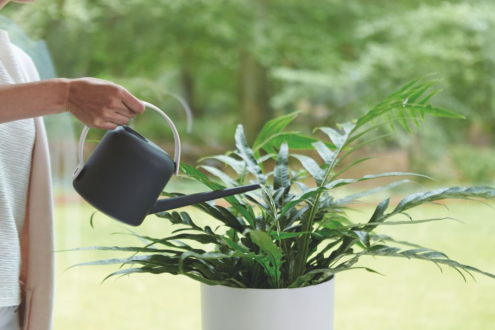 B.for Soft Watering Can 1,7ltr