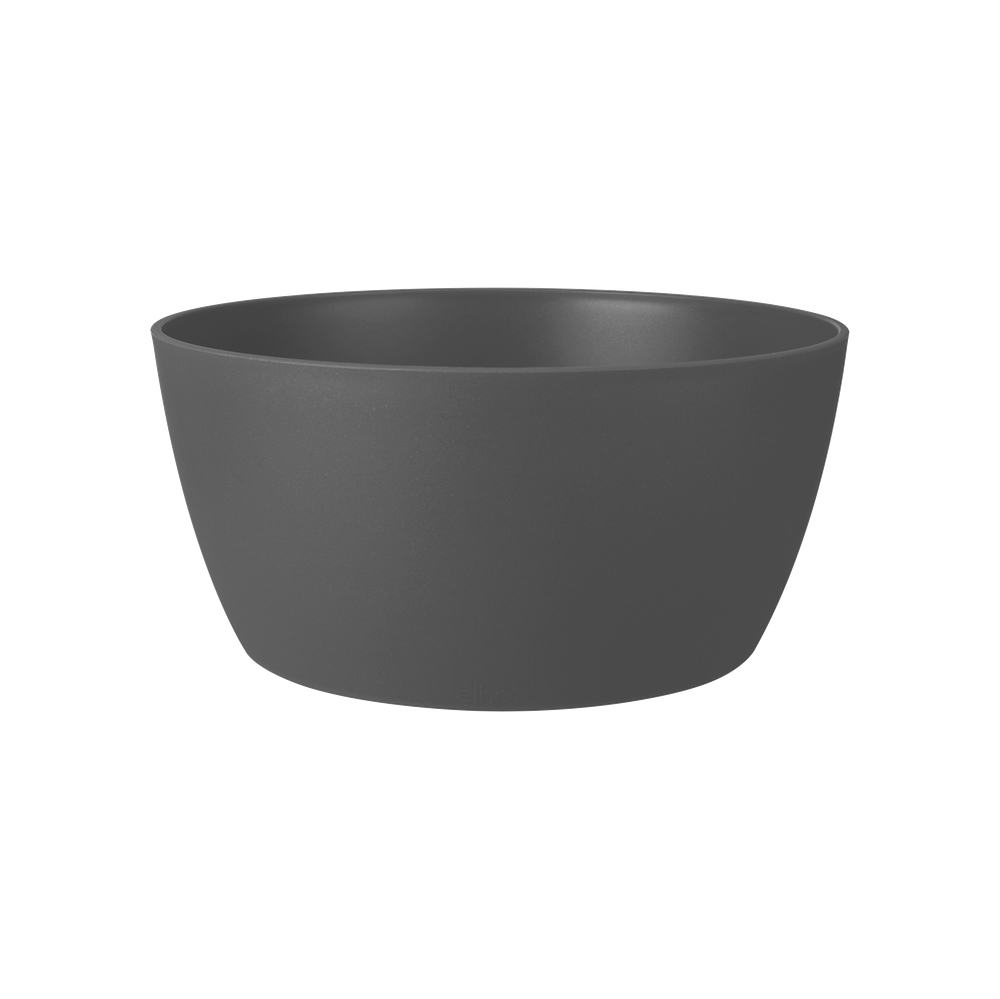 Brussels Bowl 23