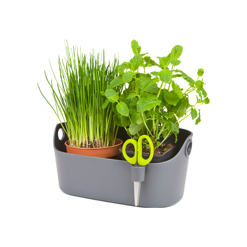 Brussels Herbs Station 30