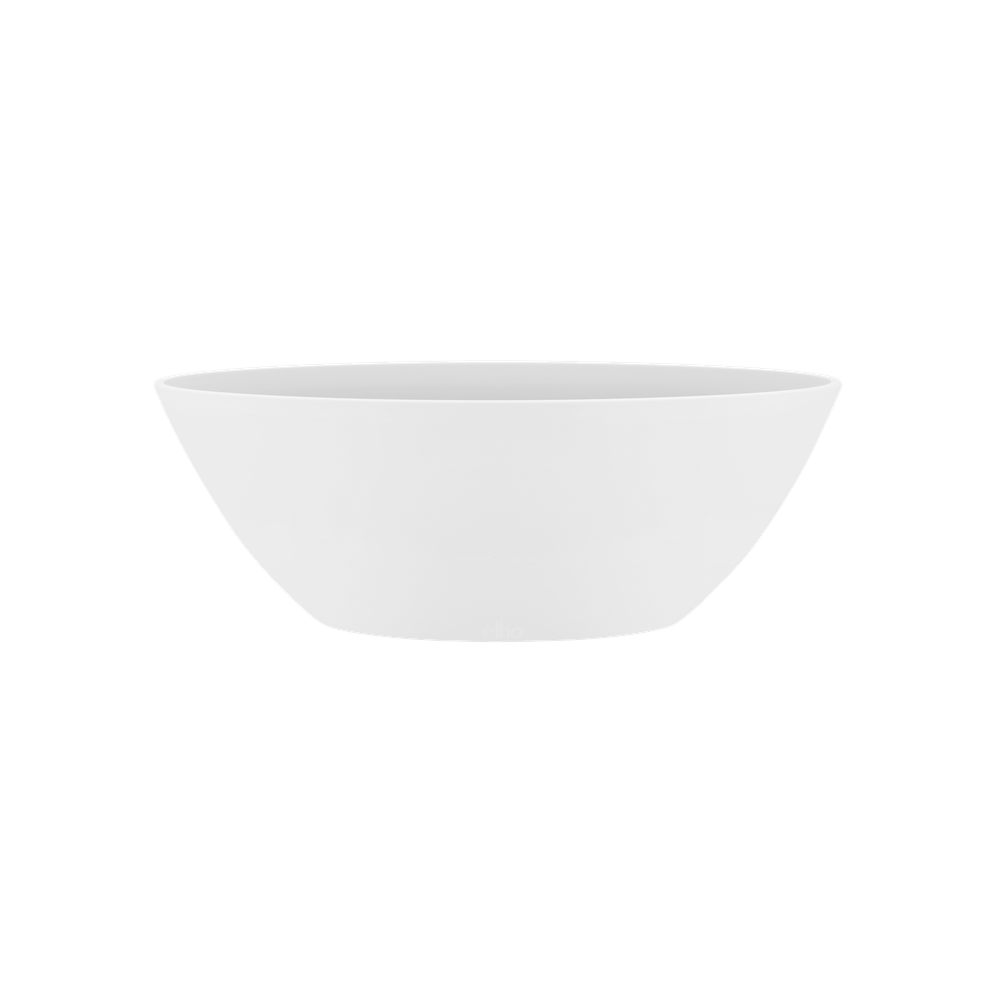 Brussels Oval 36
