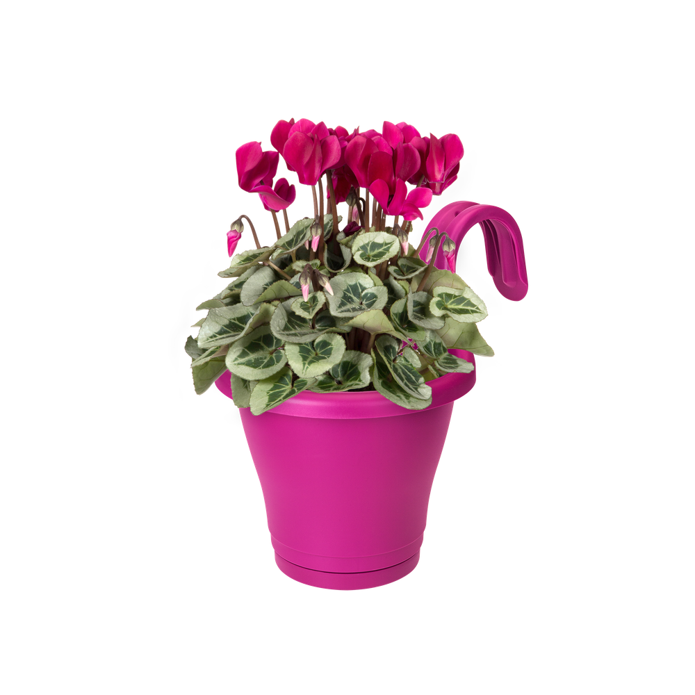 Corsica Easy Hanger Single 20