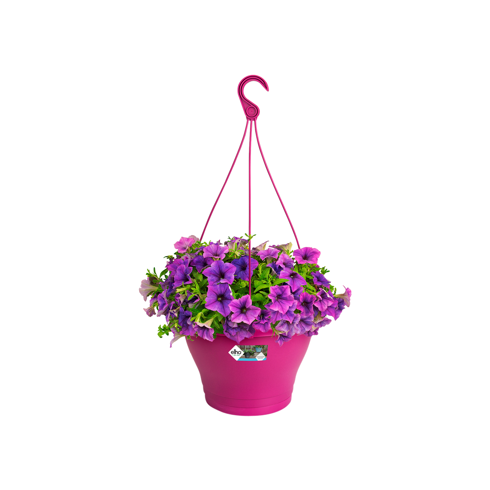 Corsica Hanging Basket 30