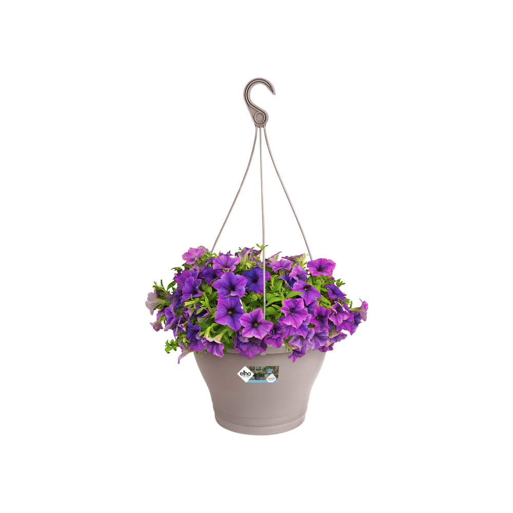 Corsica Hanging Basket 30