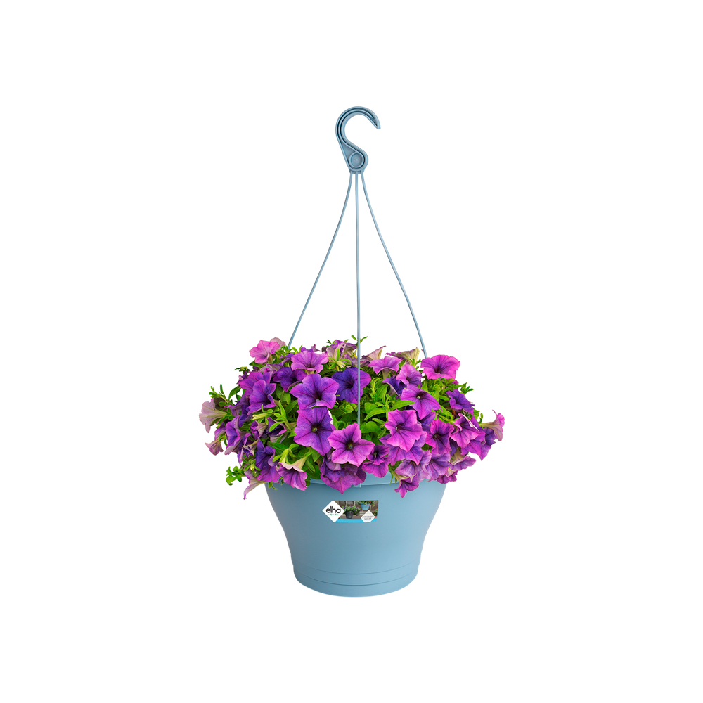 Corsica Hanging Basket 30
