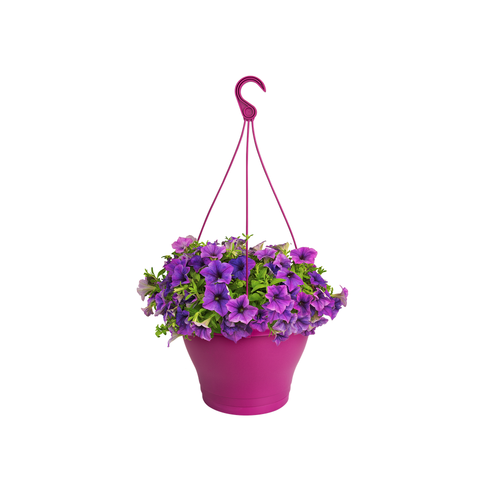 Corsica Hanging Basket 30