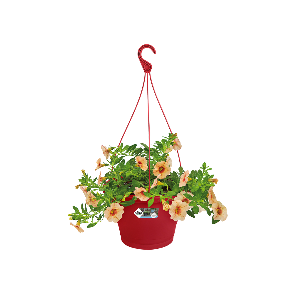 Corsica Hanging Basket 30