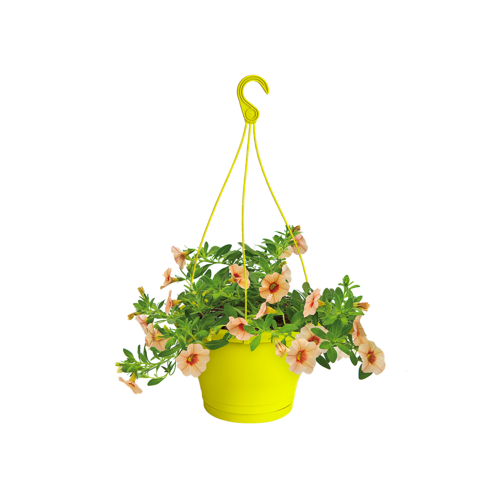 Corsica Hanging Basket 30