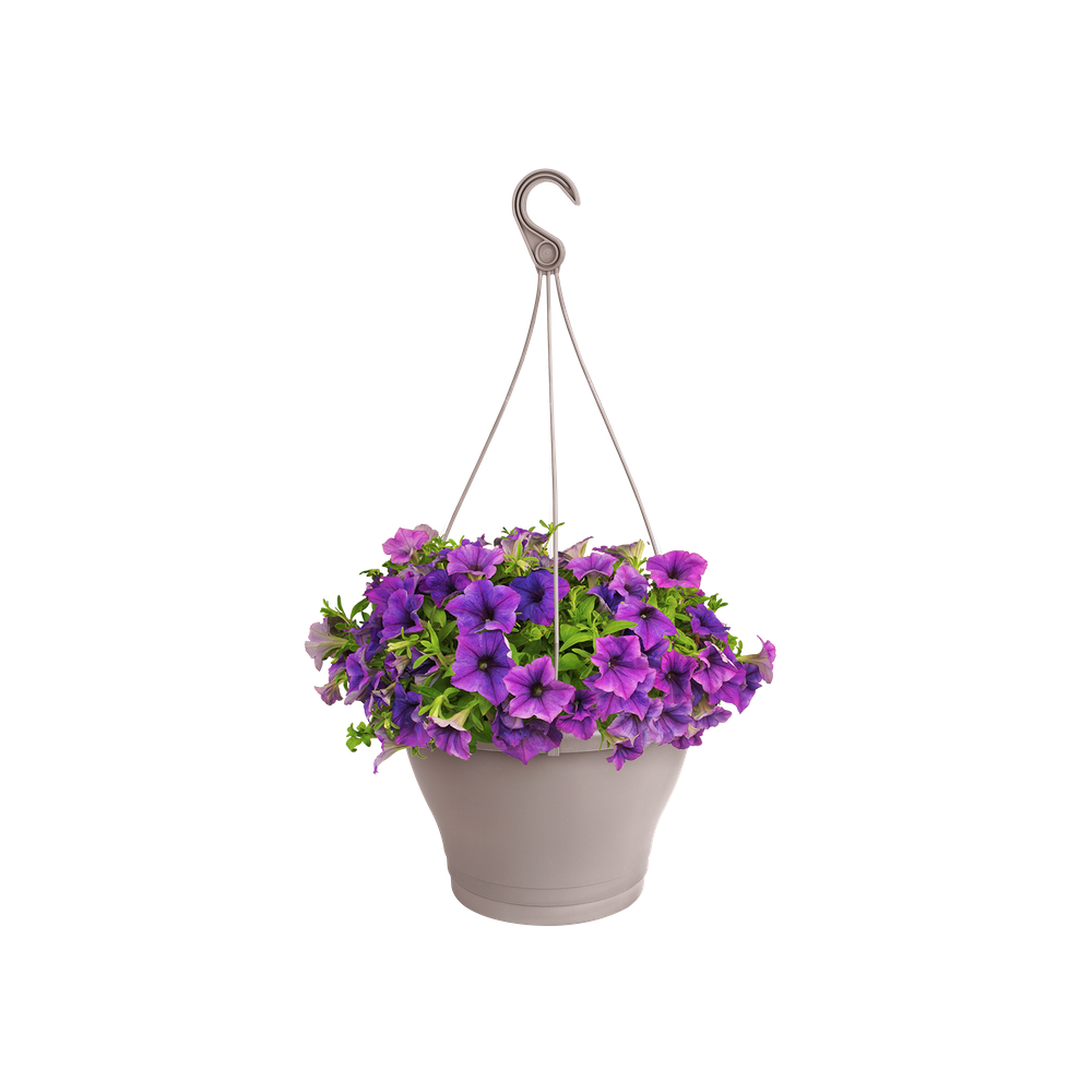 Corsica Hanging Basket 30