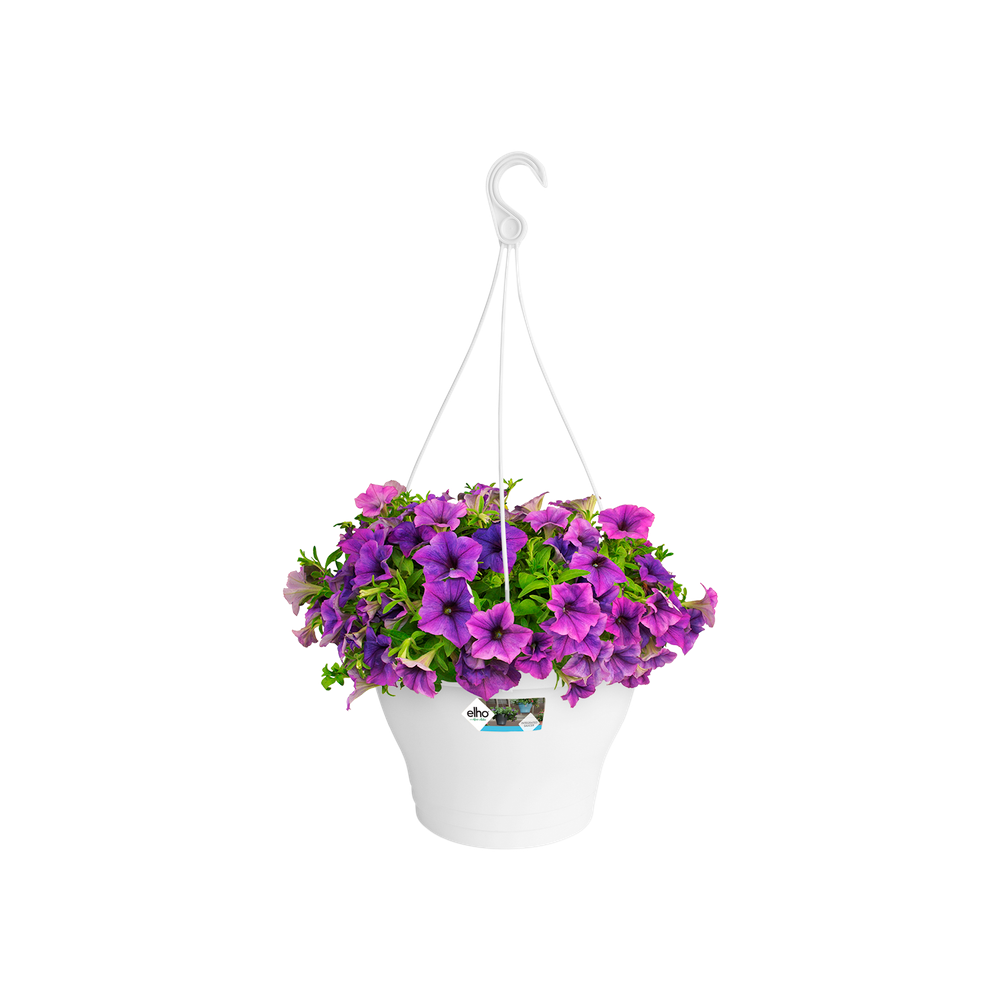 Corsica Hanging Basket 30