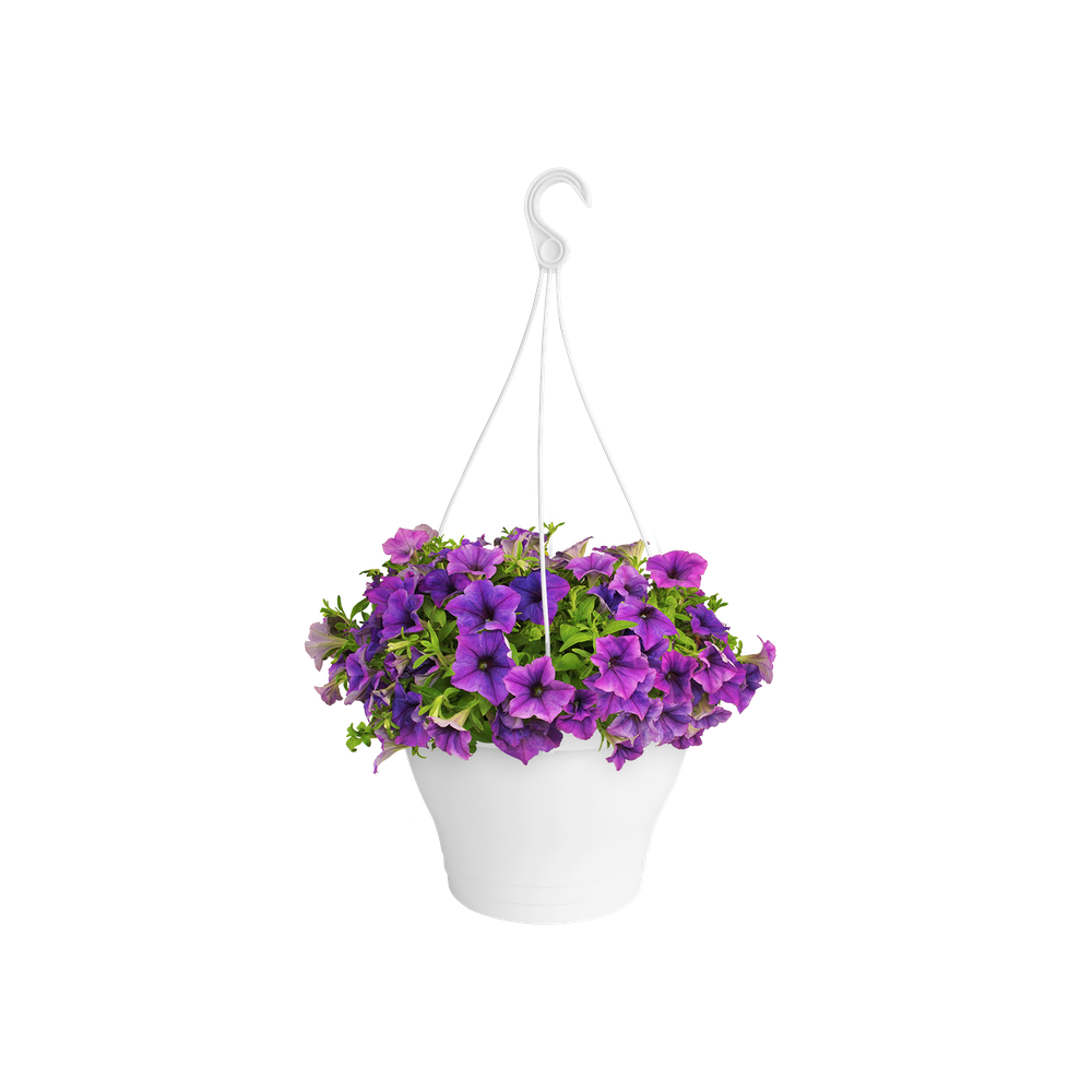Corsica Hanging Basket 30