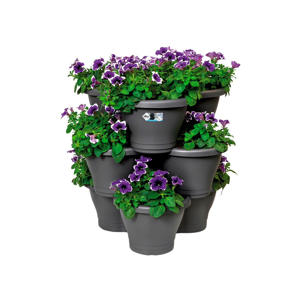 Corsica Vertical Garden Saucer S