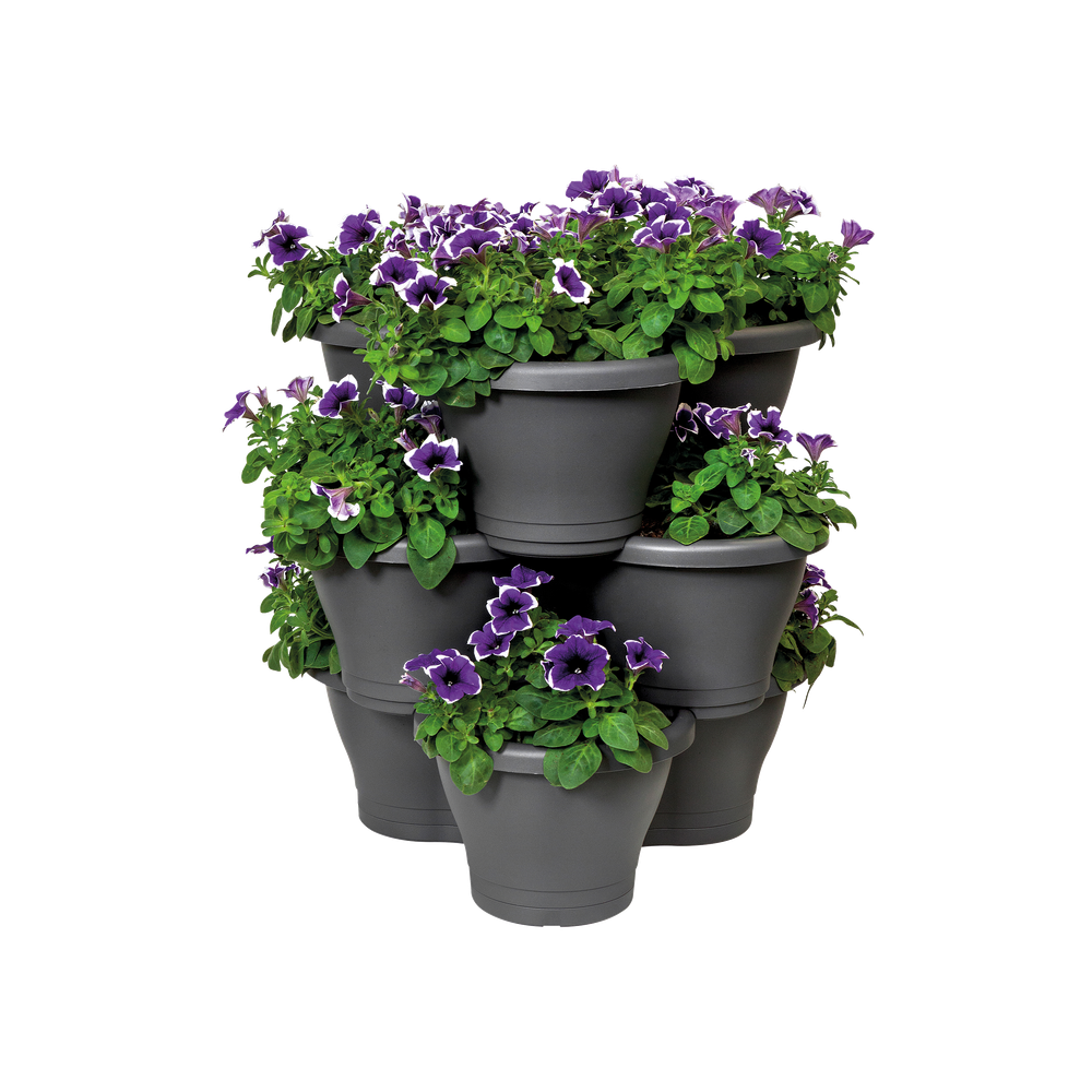 Corsica Vertical Garden Saucer S