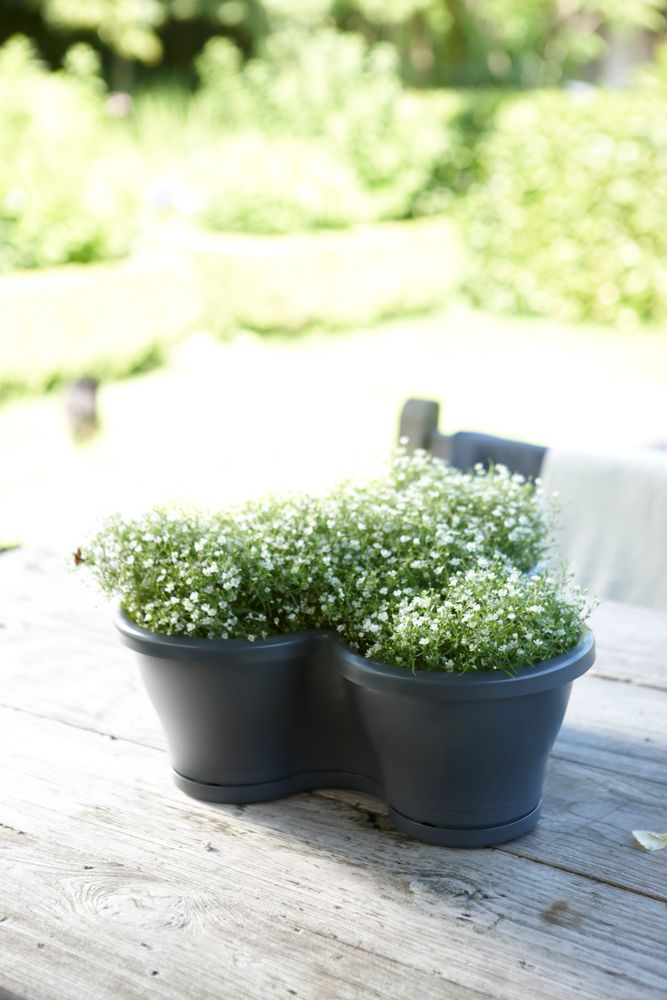 Corsica Vertical Garden Saucer S