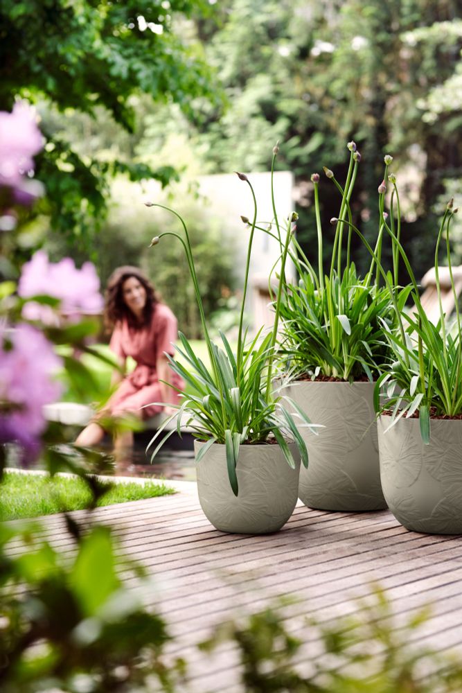 Fuente Lily Round 47