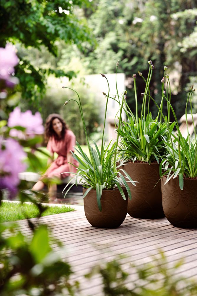 Fuente Lily Round 47