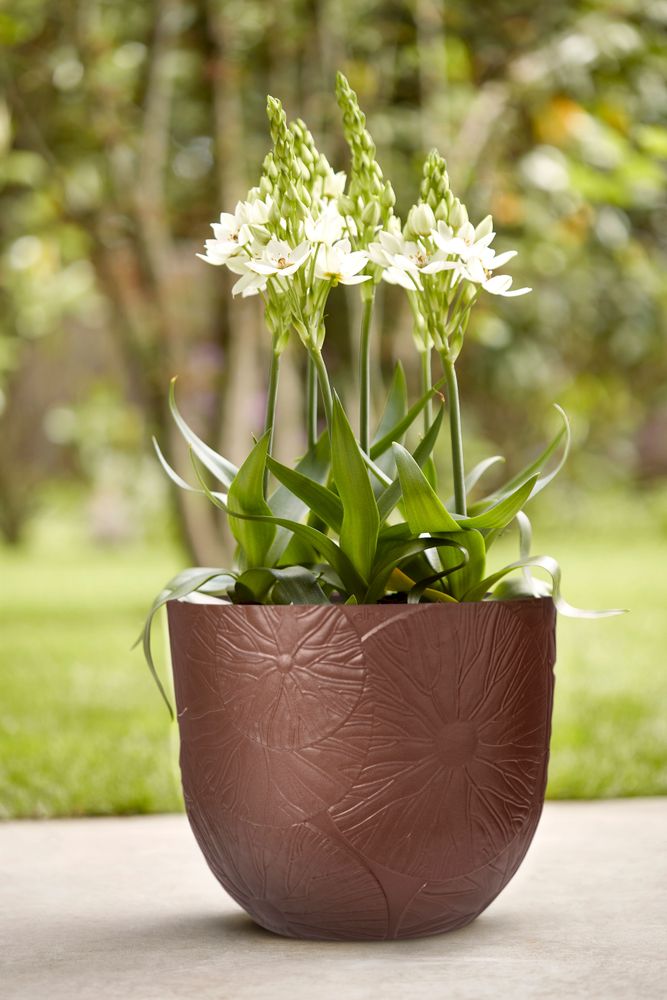 Fuente Lily Round 47